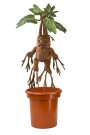 Harry Potter Interactive Plush Figure Mandrake 30 cm thumbnail